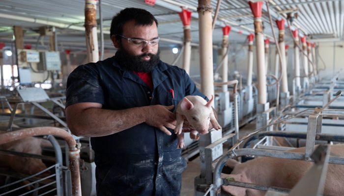 Large Ag Coalition Urging Congressional Fix to California Prop. 12