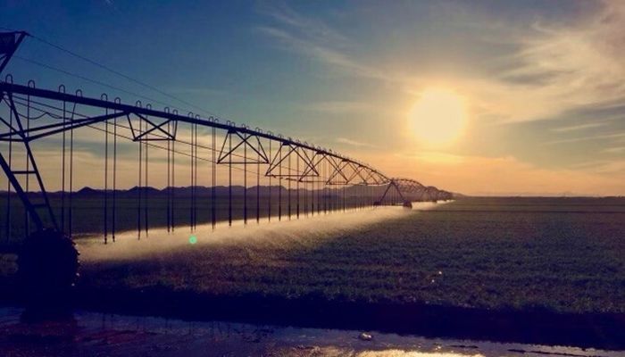 Understanding the Many Kinds of Water