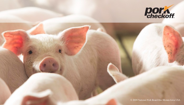 Rosie on The House: October Is Pork Month!