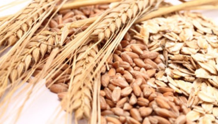 Food Security Is National Security