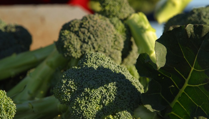 Beyond Arizona Agriculture's $31 Billion Number