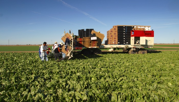 Ag Research Centers Unleash Innovation, Drive Economic Growth and Uncover Cutting-Edge Technologies