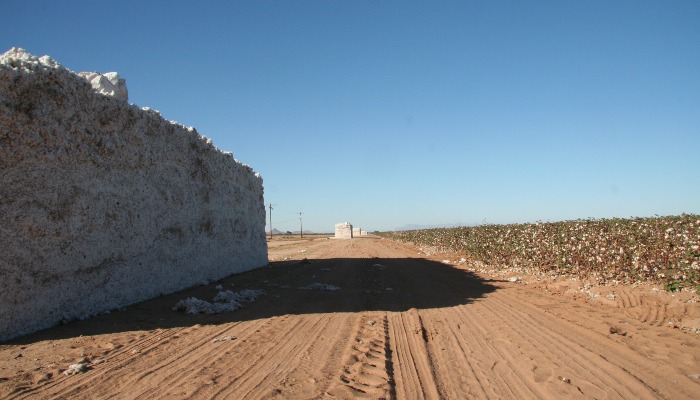 Another Major Retailer Joins the U.S. Cotton Trust Protocol 