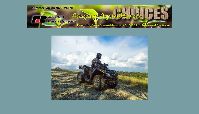 Spring/Summer Choices 2025