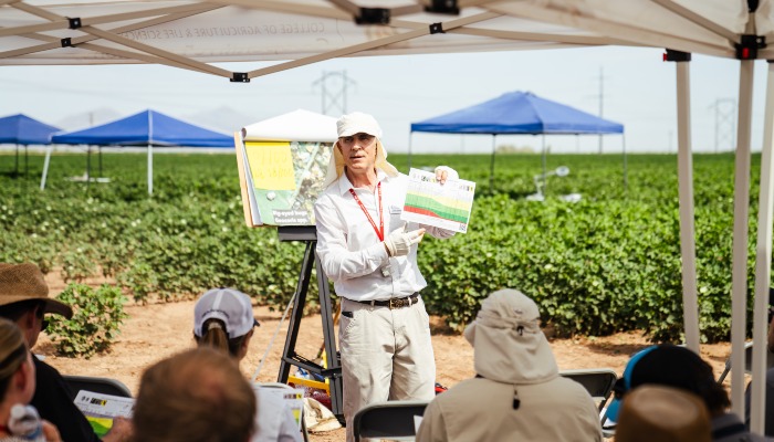 Harnessing the Power of Information in Battling Bugs