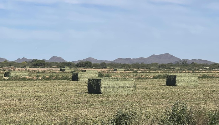 White House Report on Food System Sparks Concern Among Farmers