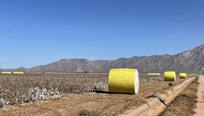 Trust Protocol Marks Sixth Year of Record Growth with 2.58 Million Acres 