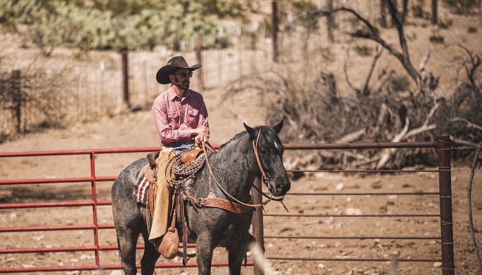 Farm Bureau Urges Restraint on Beef Imports; Arizona Rancher Reacts