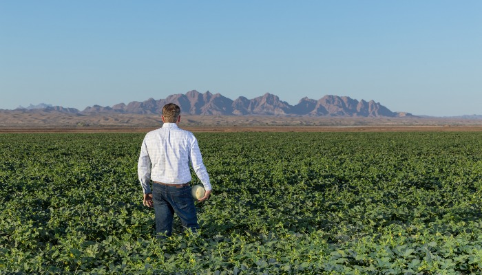 Farm Bureau to President and Congress: Farmers are at a Breaking Point