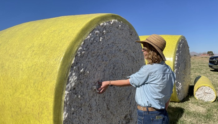 Cotton’s Enduring Sustainability, Arizona’s “Fancy Fabric”