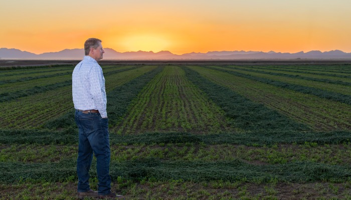 Why Arizona's Climate Makes It an Agricultural Powerhouse