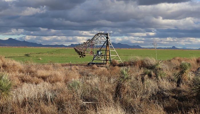 Why Arizona's Climate Makes It an Agricultural Powerhouse 