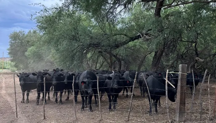 Memorandum of Understanding Seeks to Formalize Enhanced Coordination To Support Ranchers