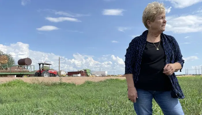 Rosie on the House: Alfalfa and Forage Crops, The Efficient Foundation of Arizona Agriculture