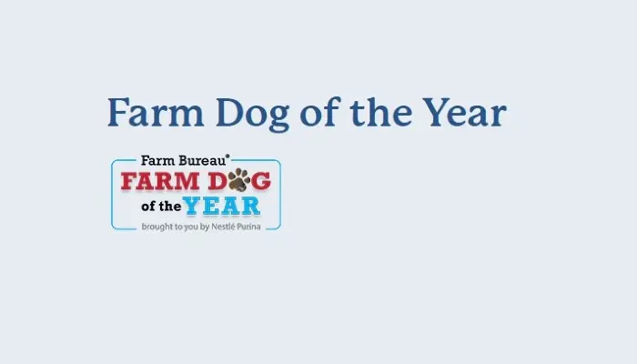 2027 Farm Bureau Farm Dog of the Year Contest Open for Entries