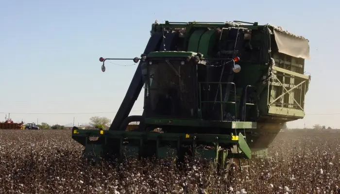 Cotton Counts: Let’s Bring Back Grown and Made in the USA