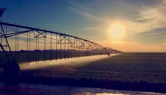 What’s Cool Hours Irrigation and Why Does it Matter?