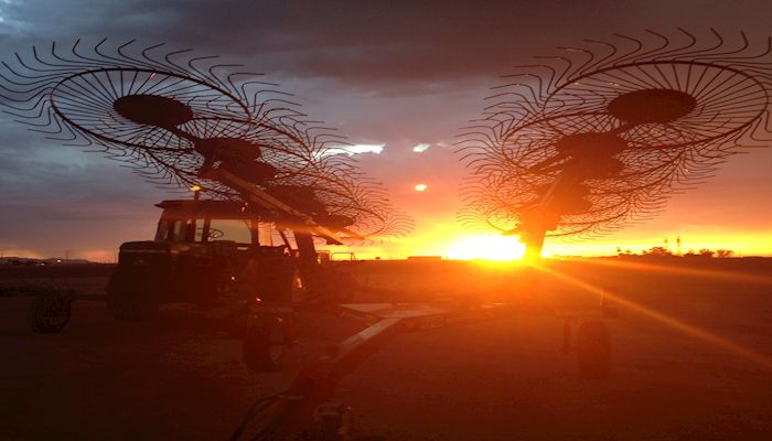 Two Days to Explore Arizona