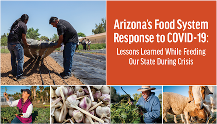 Arizona's Food System Response to COVID-19: Lessons Learned 