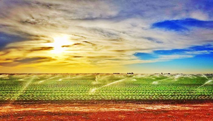 Arizona Agriculture - April 2017 