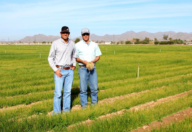 Two men standing in a field

Description automatically generated with medium confidence