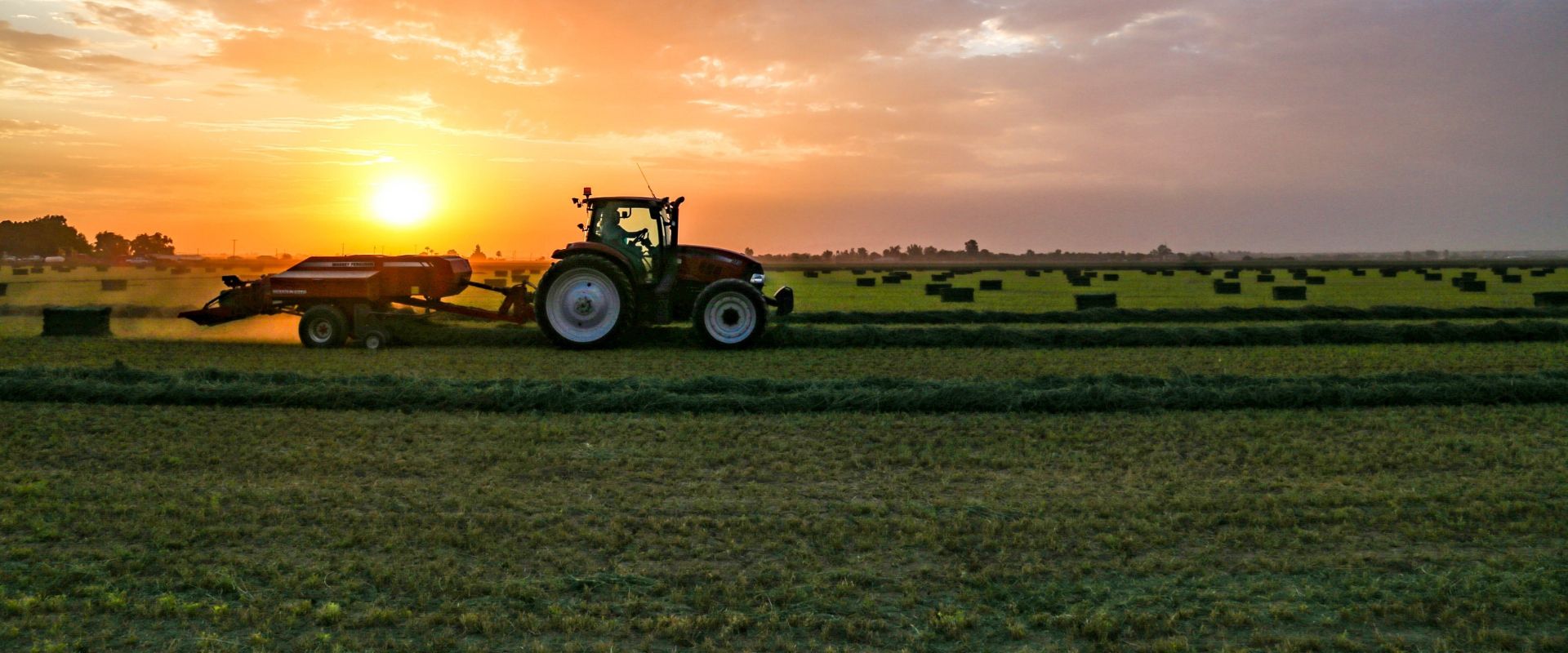 Arizona Agriculture is a nearly $31 Billion Industry