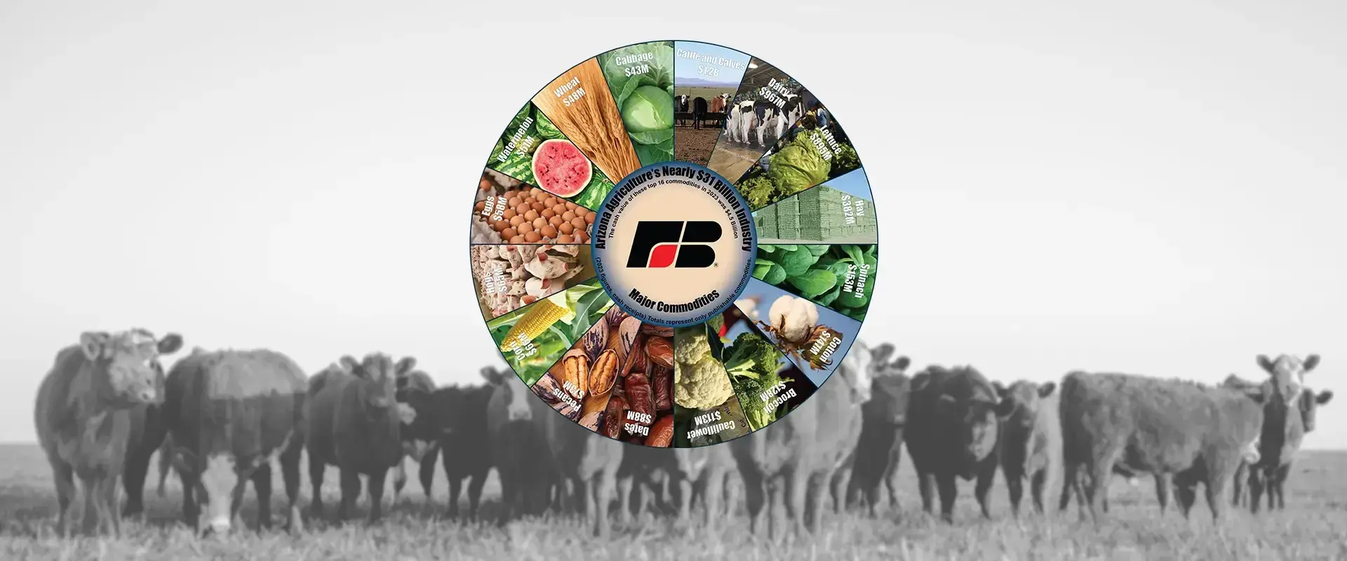 Check out our weekly blog