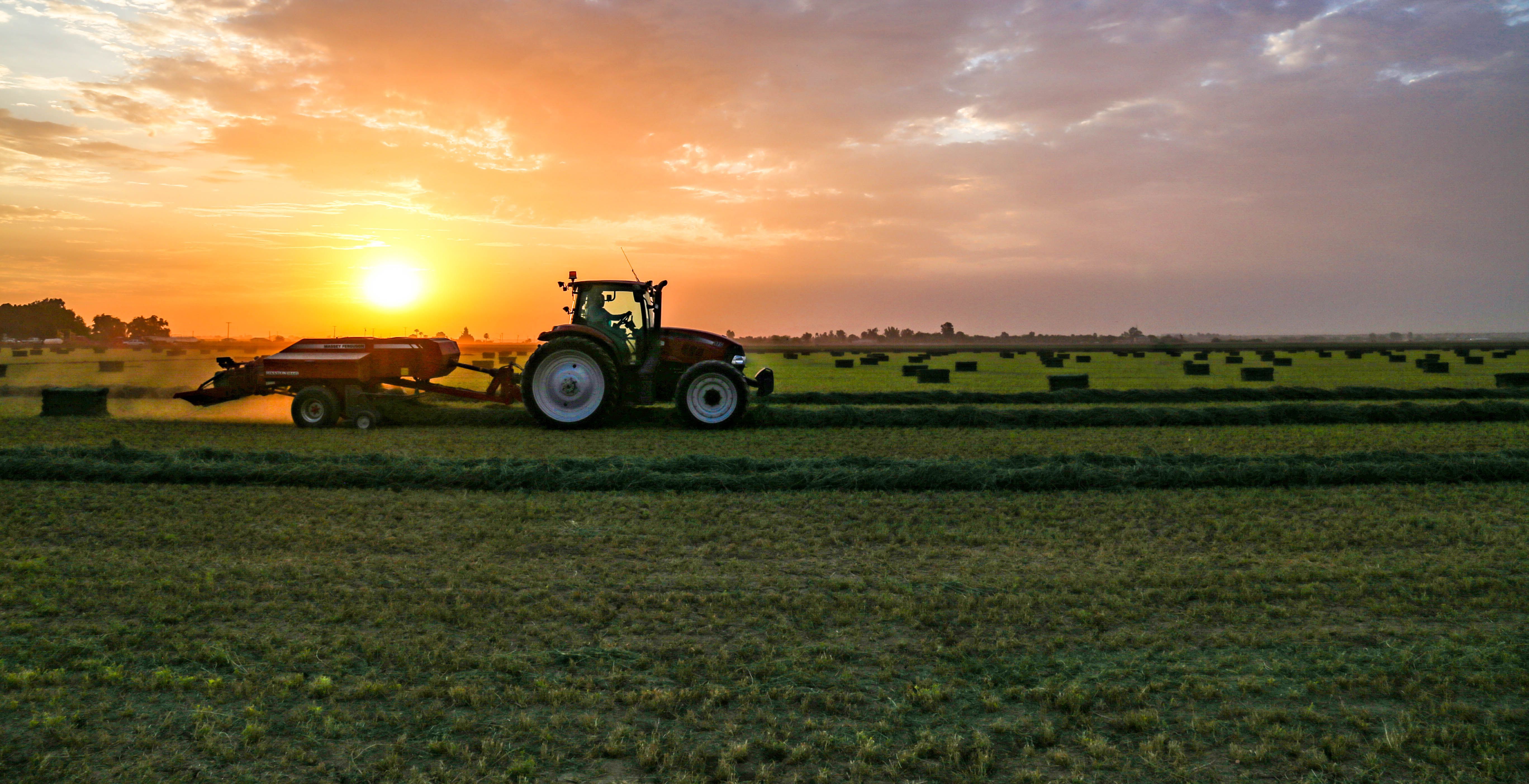 Tractor farming in field at sunset.